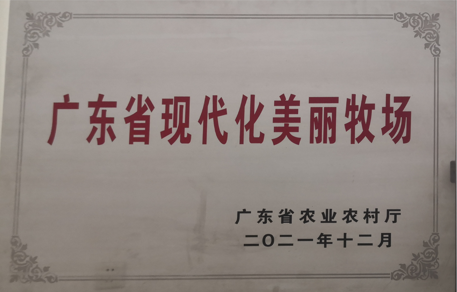广东省现代化美丽牧场.png