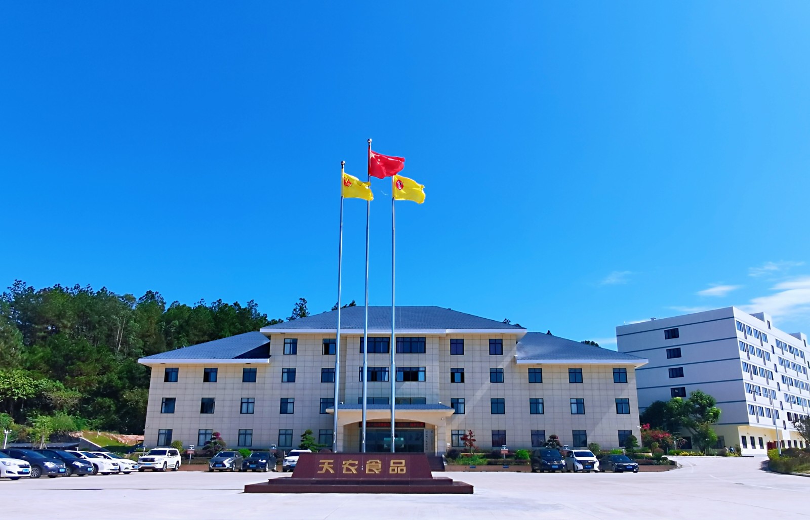 集团总部图片（蓝天）.jpg